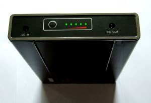 input/output on the regulated battery pack