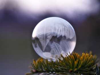 frozen soap bubble