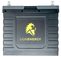 Lithium Iron Phosphate batteries for sale 12V 100AH